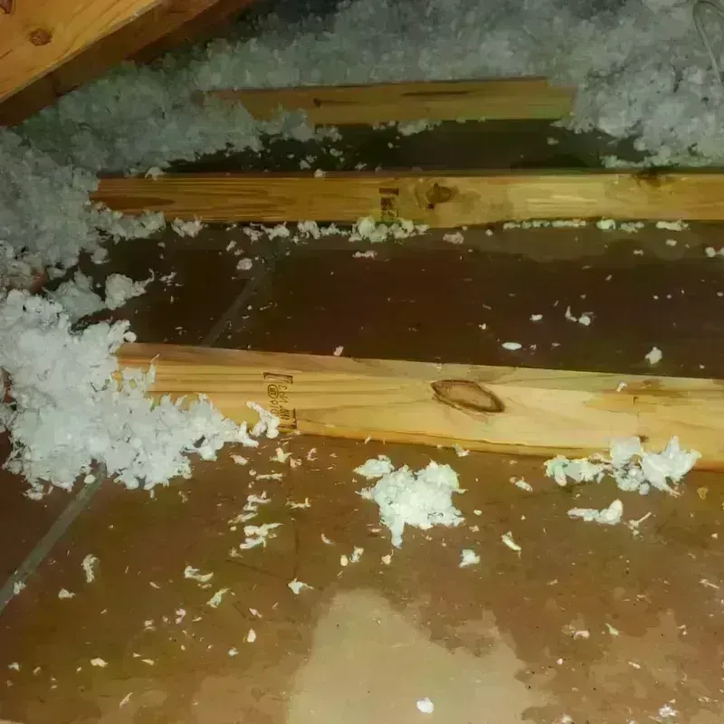 Attic Water Damage in Newton, NC