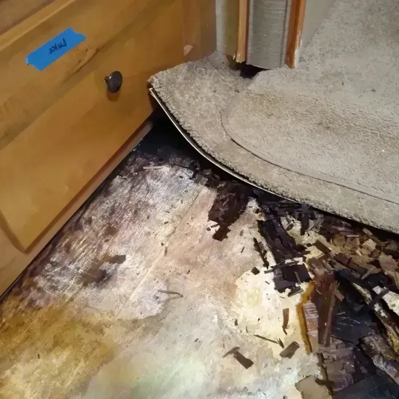 Wood Floor Water Damage in Newton, NC